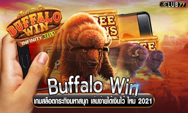 Buffalo Win เกมสล็อตกระทิงมหาสนุก เล่นง่ายได้เงินไว้ ใหม่ 2021